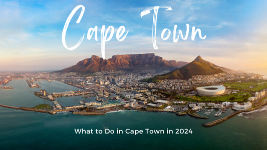 What to do in Cape Town?